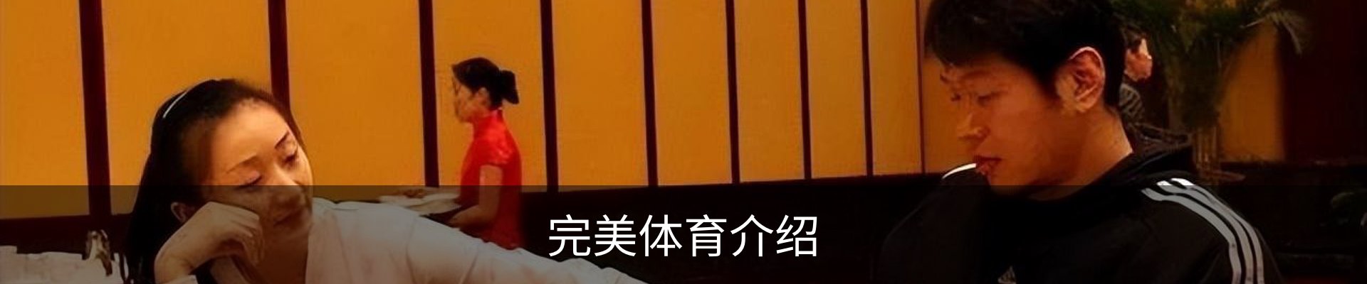 完美体育介绍