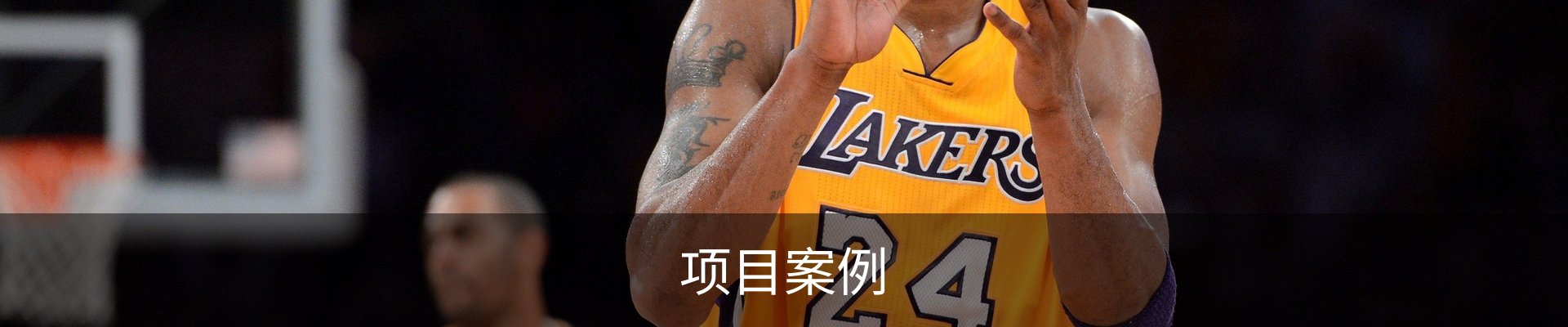 项目案例